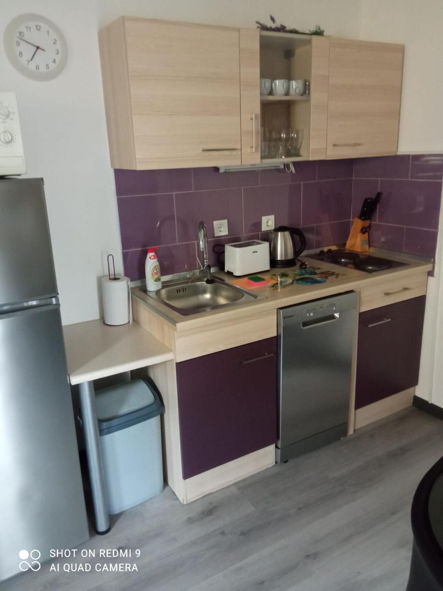 Apartments Vesna Ribarica Exterior photo